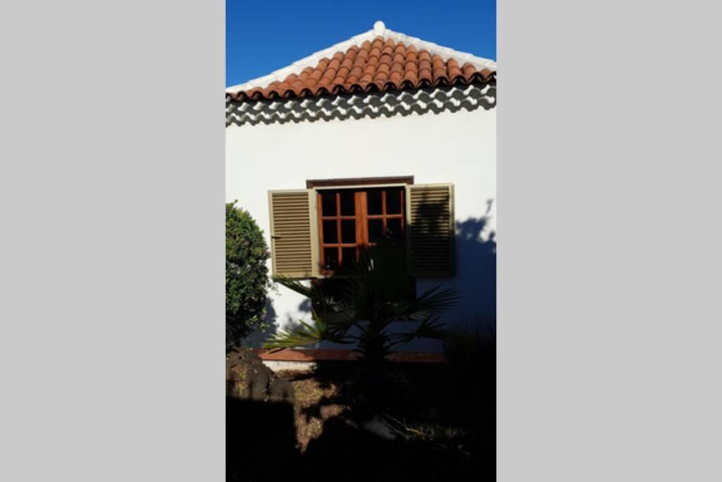 Villa La Paz Puerto de la Cruz  Buitenkant foto