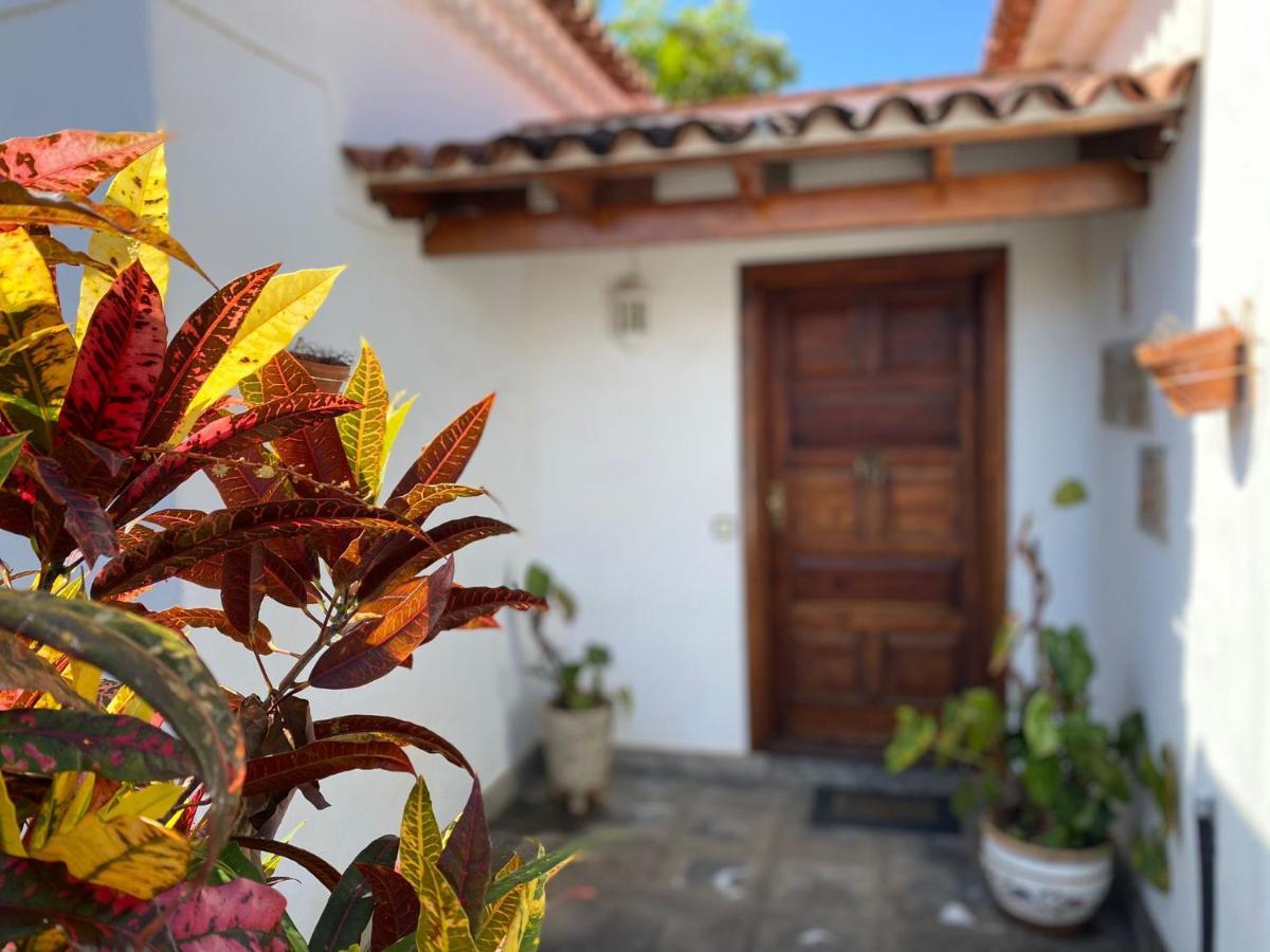 Villa La Paz Puerto de la Cruz  Buitenkant foto
