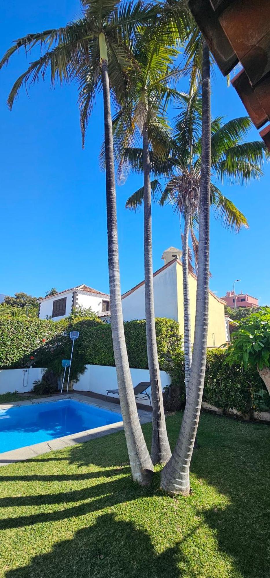 Villa La Paz Puerto de la Cruz  Buitenkant foto